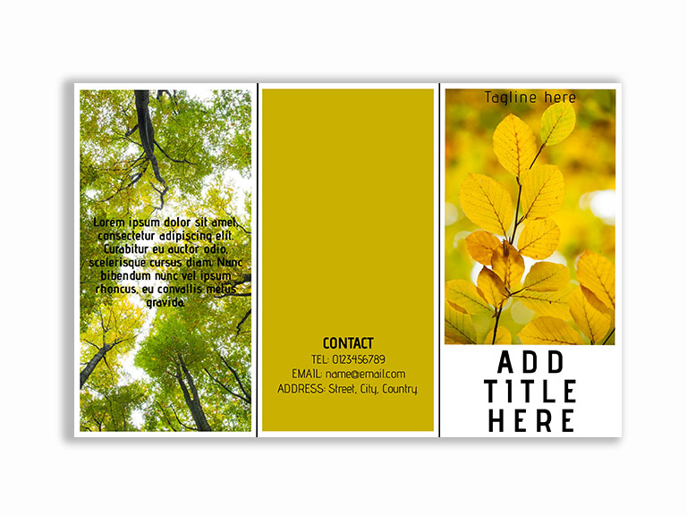 Unlock the power of easy editing and quick downloads with our ready-to-use free templates. Explore our design library for a wide selection of customizable options to suit your needs. Save time and create professional-looking designs in minutes with our user-friendly templates.